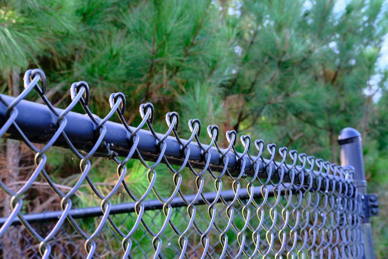 Chain Link Fence